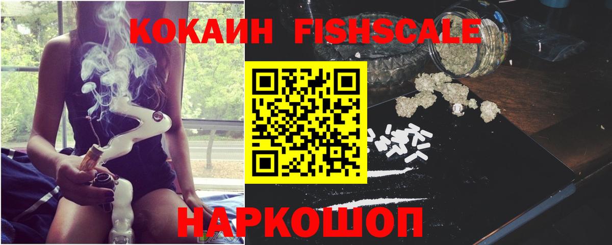 закладка  COCAIN FishScale  Горно-Алтайск  КОКАИН Боливия 