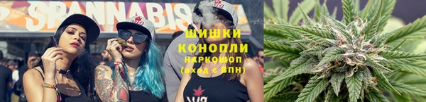 индика Белоозёрский