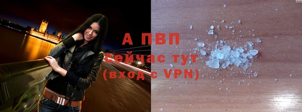 гашик Белокуриха