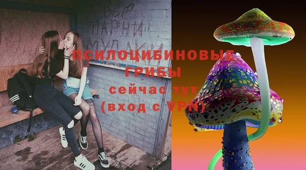 индика Белоозёрский