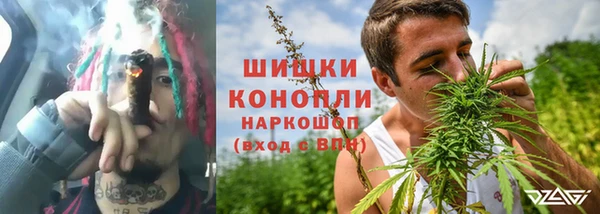 индика Белоозёрский