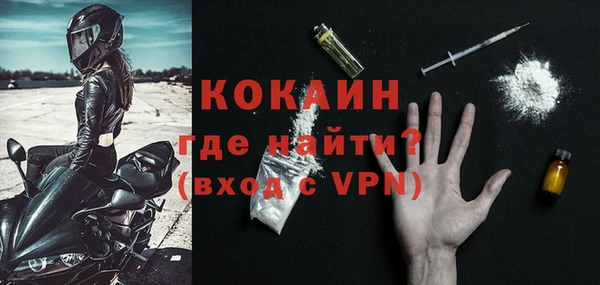 дживик Снежногорск