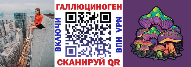 хочу наркоту  Горно-Алтайск  Псилоцибиновые грибы Cubensis 