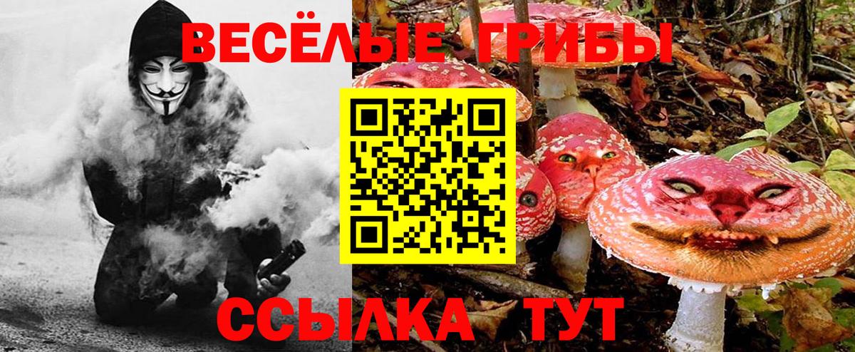 Псилоцибиновые грибы MAGIC MUSHROOMS Горно-Алтайск