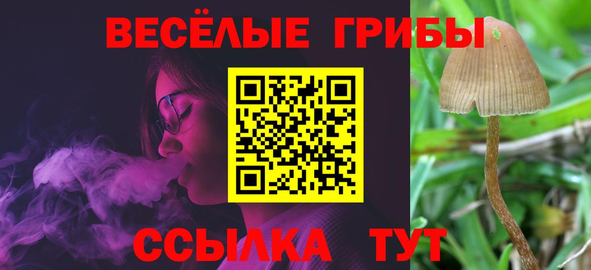 Псилоцибиновые грибы ЛСД  Псилоцибиновые грибы мухоморы  Вход с VPN  сколько стоит  Горно-Алтайск 