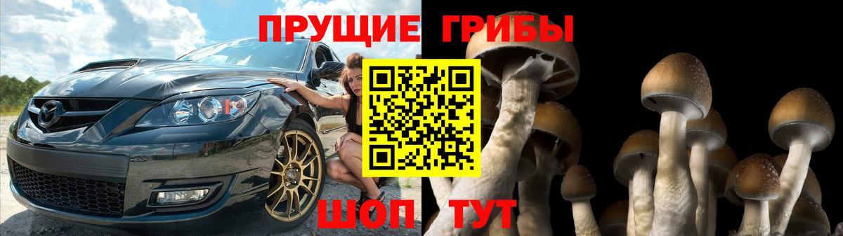 Галлюциногенные грибы Magic Shrooms  Горно-Алтайск 